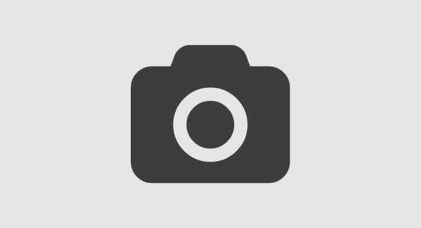 Fifth Article
